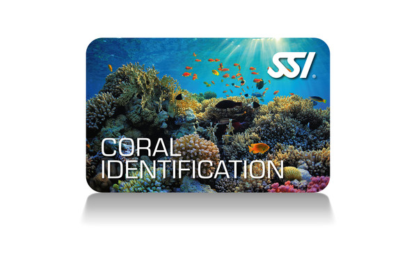 coral identification